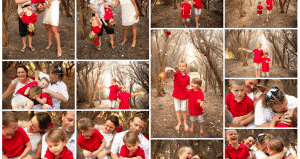 snapshot of client gallery from a Christmas photo session