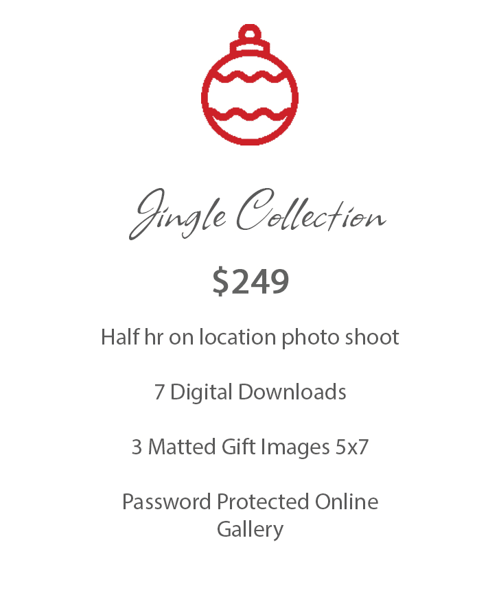 Jingle Collection graphic for Christmas photo package details and price